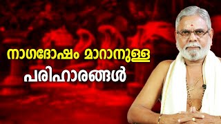 നാഗദോഷം മാറാനുള്ള പരിഹാരങ്ങൾ | 9387697150 | Jyothisham | Astrology | Asia Live TV