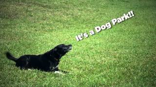 Miami-Dade County Dog Parks
