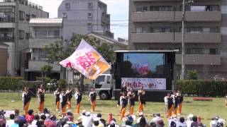 湘南よさこい祭り２０１５－猿子舞隊　猿楽