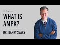 What is AMPK?