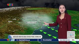 Dự báo thời tiết 19h45 - 11/02/2026 | Miền Bắc đêm và sáng có mưa mù | VTVWDB
