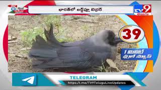 Bird Flu Update : One Minute Full News - TV9