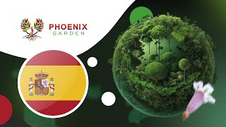 ¡Presentación del árbol Paulownia y del proyecto Phoenix Garden !