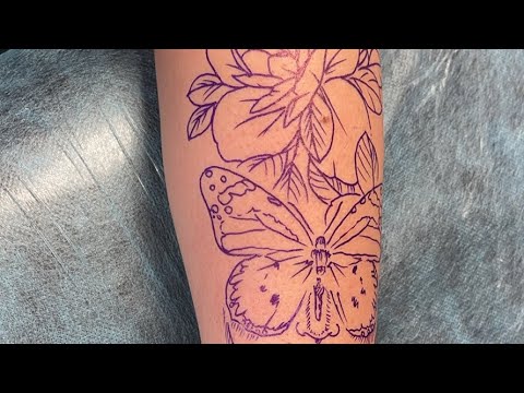 Whip Shading Live Youtube