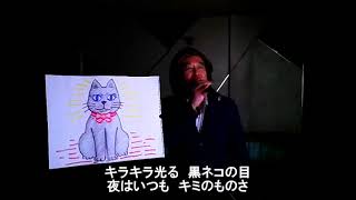 黒猫のタンゴ歌詞付