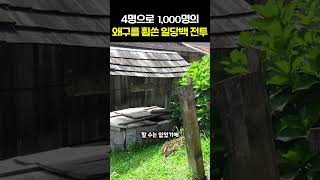 단 4명으로 1,000명의 왜구를 쓸어버린 일당백 전투 #제주도 #조선 #history