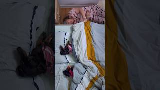 The Unfortunate Truth About Sleeping With Dogs