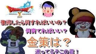 【ドラクエ10】復帰したけどなにすればいいの？職は？レベル上げは？金策は？復帰勢必見！