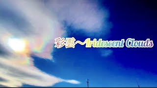 【癒し 吉兆 開運】伊勢　朝熊山で現れた彩雲🌈　#空 #彩雲 #開運