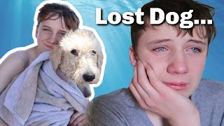 Our Dog RAN AWAY | Missing Dog | Lost Dog