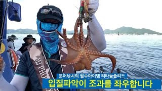 문어낚시 해보셨나요 저는 삼천포로 갔습니다