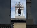 syria protests after christmas tree burnt