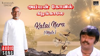 Kalai Nera Male Song | Amman Kovil Kizhakale Movie | Ilaiyaraaja | Vijayakanth | SPB