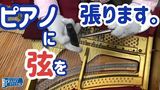 ピアノ調律師がアップライトピアノの弦を張ります。張弦作業公開. Upright piano restringing