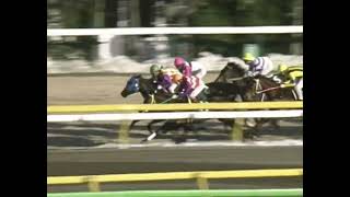 ヒシアマゾン 1994年 第29回デイリー杯 クイーンカップ(GIII) (優勝馬：ヒシアマゾン)