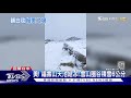 雪中紅 思源埡口