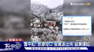 雪中紅! 思源埡口\