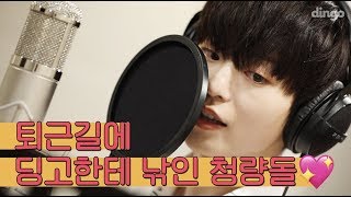 딩고가 본업 마치고 퇴근하는 뽀시래기 들튀함!!!(feat.청량돌) | 온앤오프 |