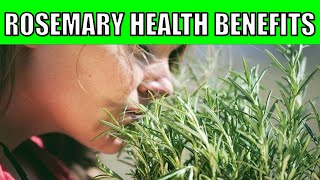 ROSEMARY: Top 12 Wonderful Health Benefits of Rosemary