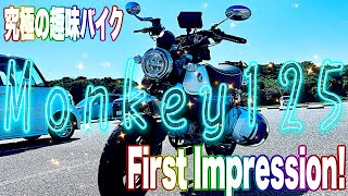 Monkey125ファーストインプレとカスタム【motovlog#517】