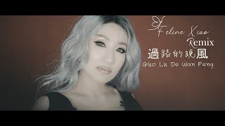 Guo Lu De Wan Feng  ( 過路的晚風 )  REMIX - Feline Xiao
