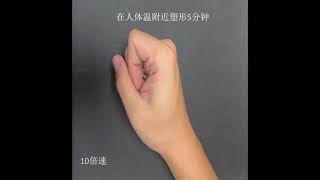 Body-temperature programmable thermoplastic elastic shape memory polymers