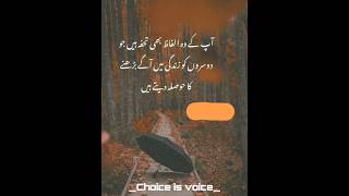 Ap Ka wo Do Alfaz | Urdu Quotes | Islamic Quotes in Urdu | Short video