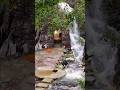 kehidupan di gua di bawah air terjun #relaxing #naturerelax #relaxview #relaxingsounds