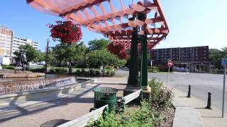 Stoney Creek - Hamilton, Ontario Local Amenities Tour