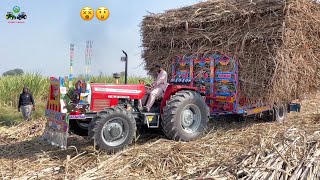 Well Done Massey Ferguson 385 4x4 Single Tractor Pull 800 Mann Sugarcane Load Trolley