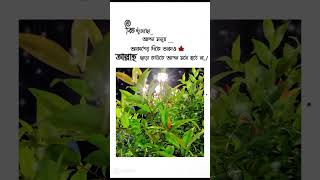 এক আল্লাহ আপন কেহ নাই. #islamicvideo_ #shorts_ #foryou 👍👍👍🤲🤲