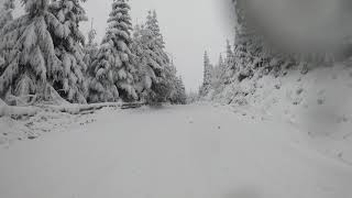 Urcare la Harghita Madaras pe drumul forestier din Vlahita