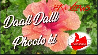 Dali Dali Phoolon Ki तुझको बुलाए रे मुसाफिर मेरे उत्तराखंड में Full Song