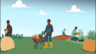 Thrive Agric - Mata Ganaku Project