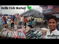 Best Fish Market in Delhi |Gazipur Fish Market |Live Fish And Sea Fish |wholesale Fish Market Video