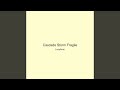 Cascade Storm Fragile