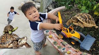 Bé Pin Giúp Đỡ Bác Rùa - Hành Trình Đi Tìm Những Bé Rùa Con ♥ ChiChi TV ♥ Pretend Play