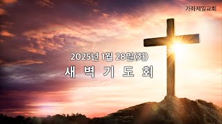 20250128 새벽기도회| 가좌제일교회