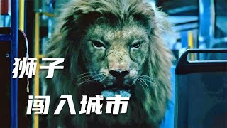 雄獅闖入城市中心，對居民大開殺戒，驚悚片《狂暴兇獅》 #电影 #电影解说 #影视 #影视解说 #剧情