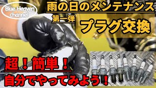 【ハーレーダビッドソン】雨の日のメンテナンス 第一弾『プラグ交換』超！簡単！自分でやってみよう！