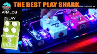 SHARK Effect :Analog Delay DL-1 (New Design) รีวิว by Moo Kalei