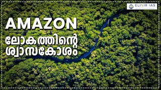 ആമസോൺ നശിച്ചാൽ സംഭവിക്കുന്നത് #trending #viralvideo #education #motivation #students #inspiration