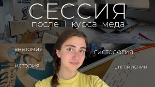 CЕССИЯ после 1 КУРСА меда: анат, гиста, история, англ | подготовка, экзамены, результаты