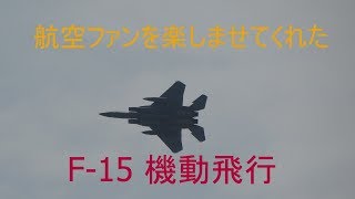 静浜基地航空祭2019 航空ファンを裏切らなかったF-15J機動飛行 ノーカット編