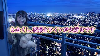 【東京高級不動産】池袋のタワーマンション最上階の眺望！