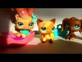 lps adopted episode 13