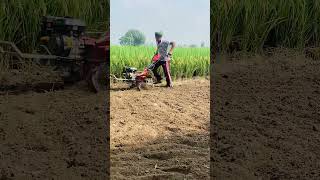 ਅੱਜ ਖੇਤ ਸਬਜ਼ੀਆ ਵਾਸਤੇ ਥਾਂ ਤਿਆਰ ਕੀਤਾ 😊 #farmingmethod  #agriculturalsystem #farmingmethod