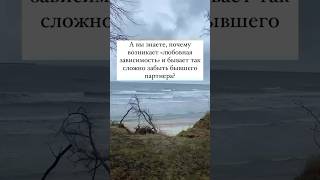 Как забыть бывшую любовь и пережить расставание по ссылке в профиле.