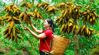 Harvesting Wild Fruit \u0026 Goes To Market Sell | Gardening And Cooking | Lý Tiểu Vân