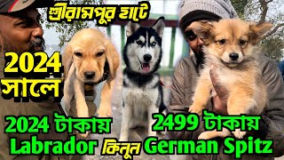 মাত্র 2024 টাকায় Labrador Puppy কিনুন। Dog Market Serampore। Serampore Pet Market।